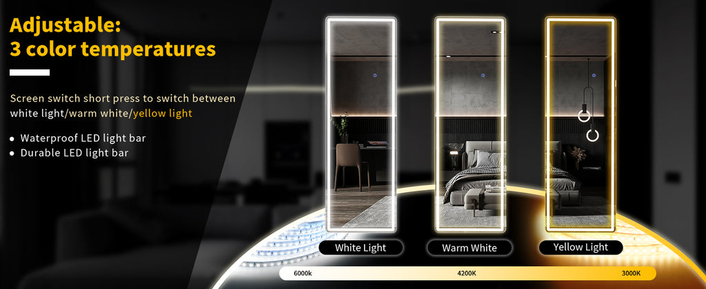 63"x20" Full Length Mirror with Lights