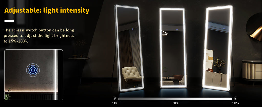 63"x20" Full Length Mirror with Lights