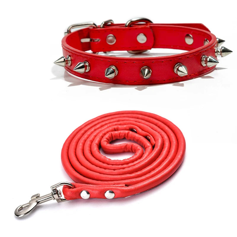Harp Spiked Studded Leather Dog Collar