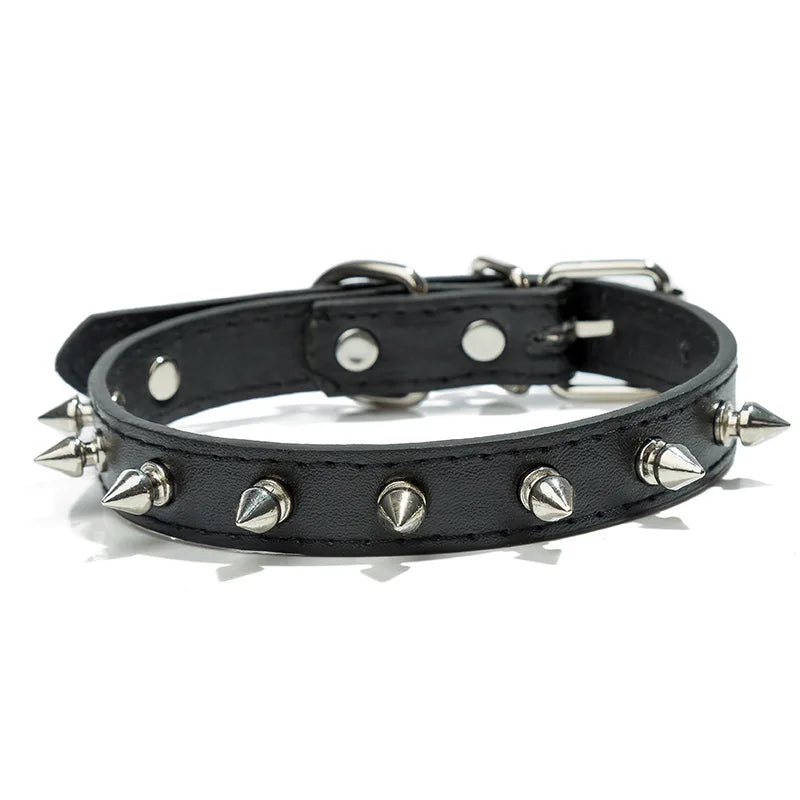 Harp Spiked Studded Leather Dog Collar