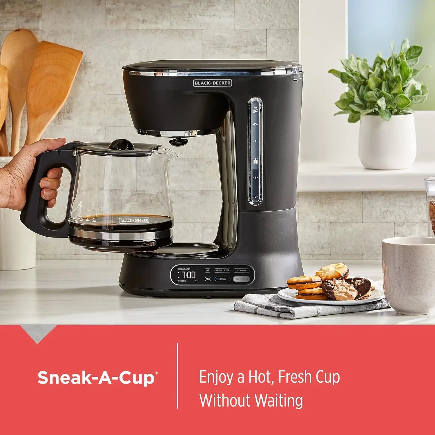 12-Cup Digital Coffee Maker