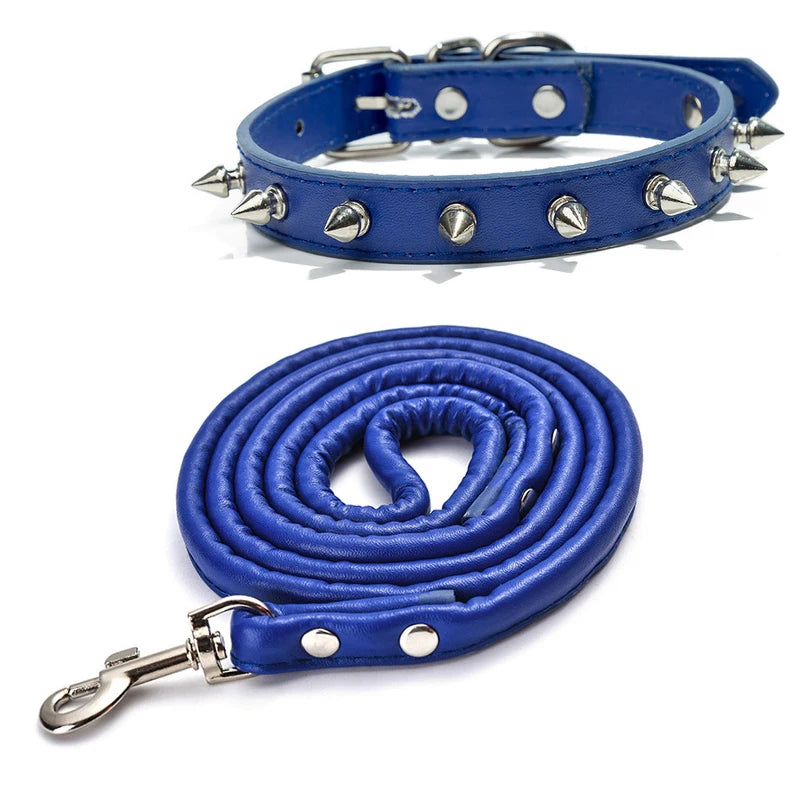 Harp Spiked Studded Leather Dog Collar
