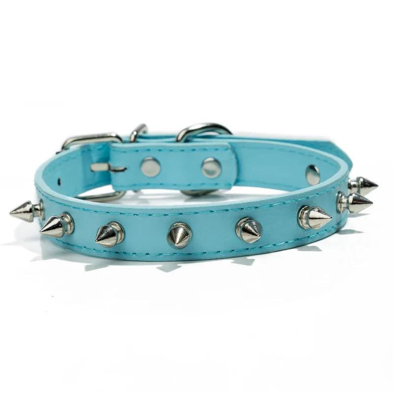 Harp Spiked Studded Leather Dog Collar