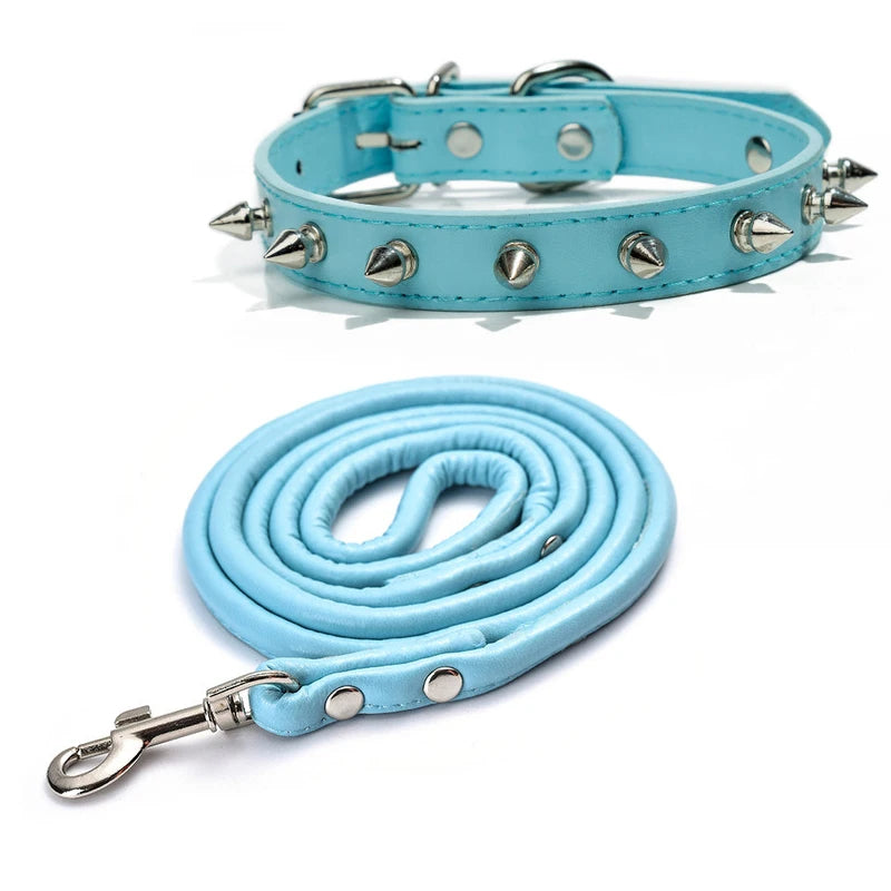 Harp Spiked Studded Leather Dog Collar