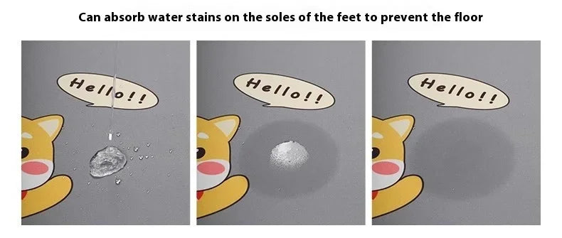 Diatomite Absorbent Floor Mat