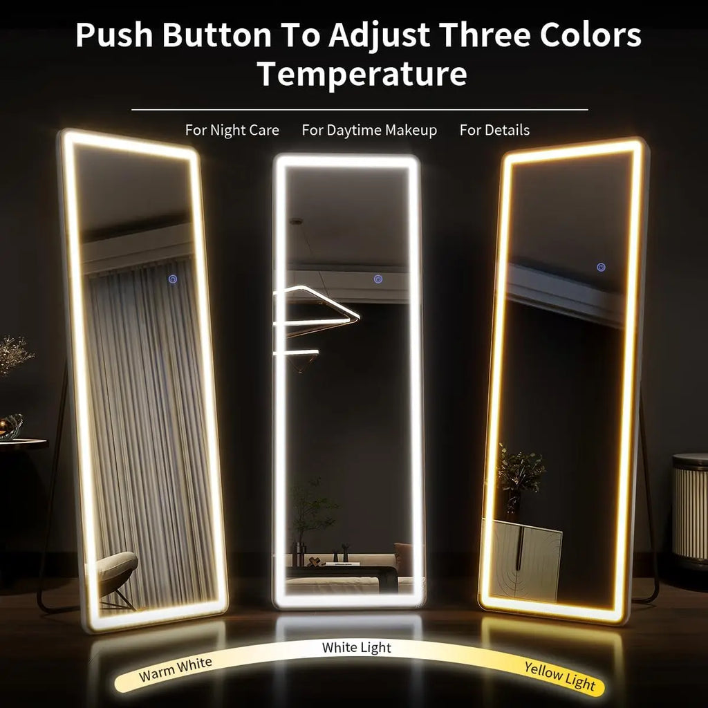 63"x20" Full Length Mirror with Lights