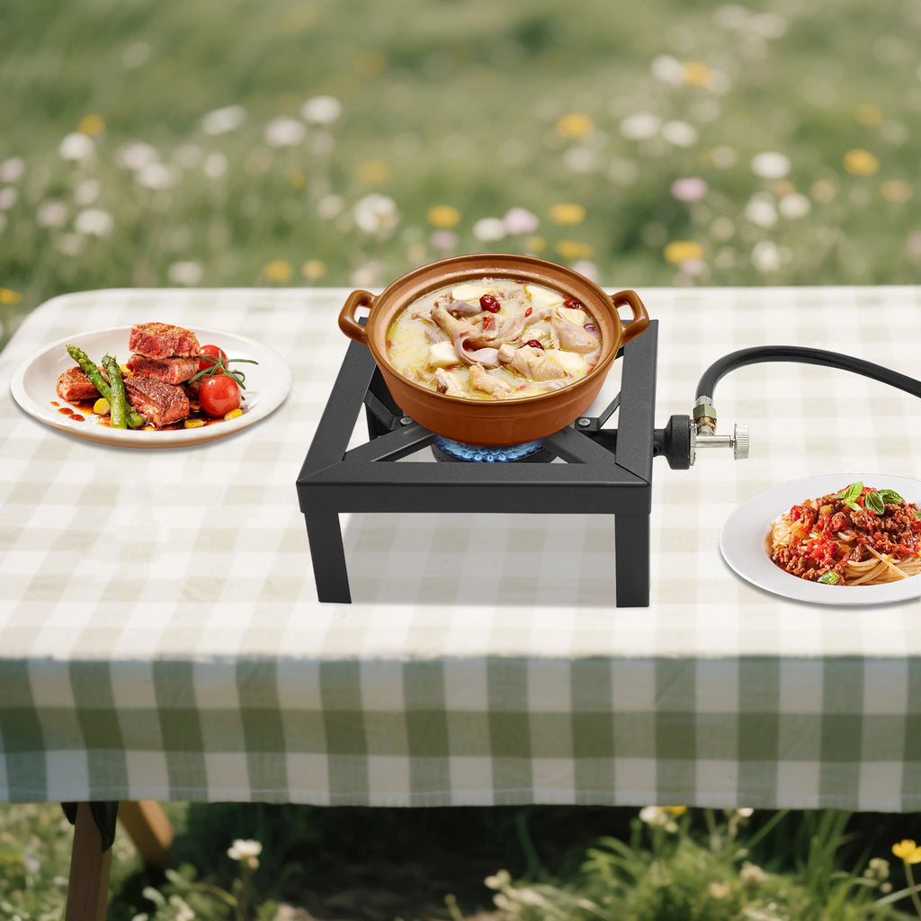 Portable Double Burner Outdoor Gas Stove