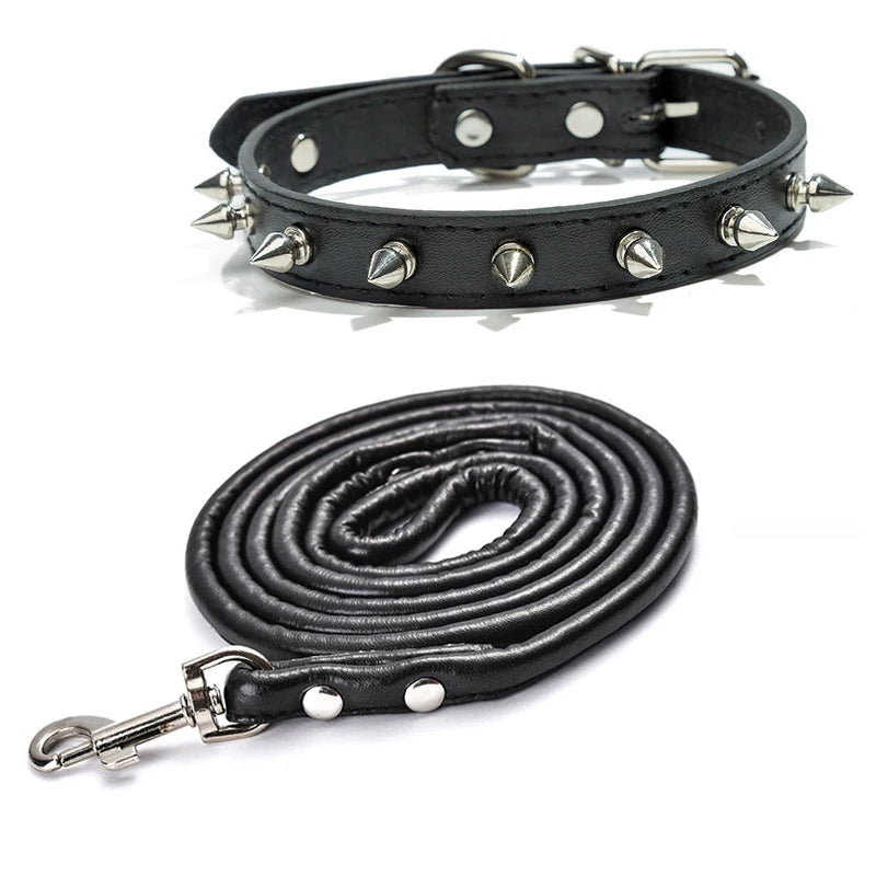 Harp Spiked Studded Leather Dog Collar