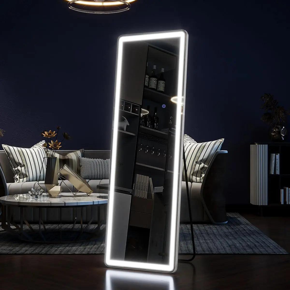 63"x20" Full Length Mirror with Lights