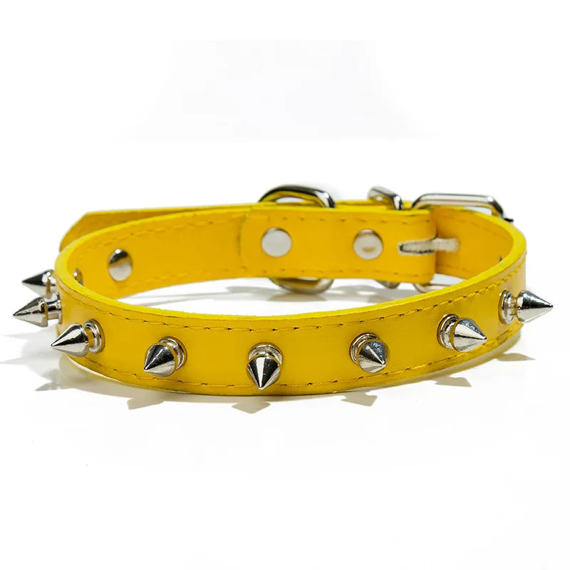 Harp Spiked Studded Leather Dog Collar