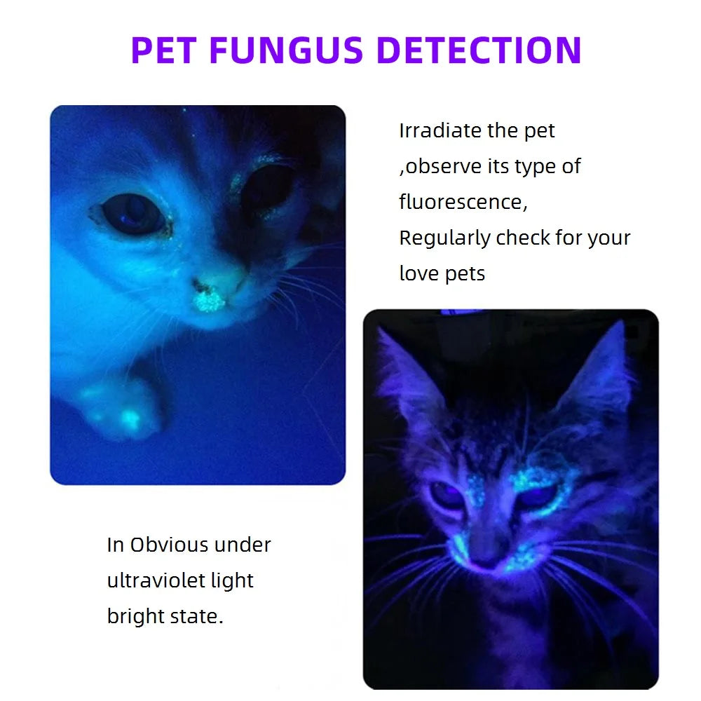 Mini UV Led Blacklight Flashlight Rechargeable, Pet Stain Leakage Marker