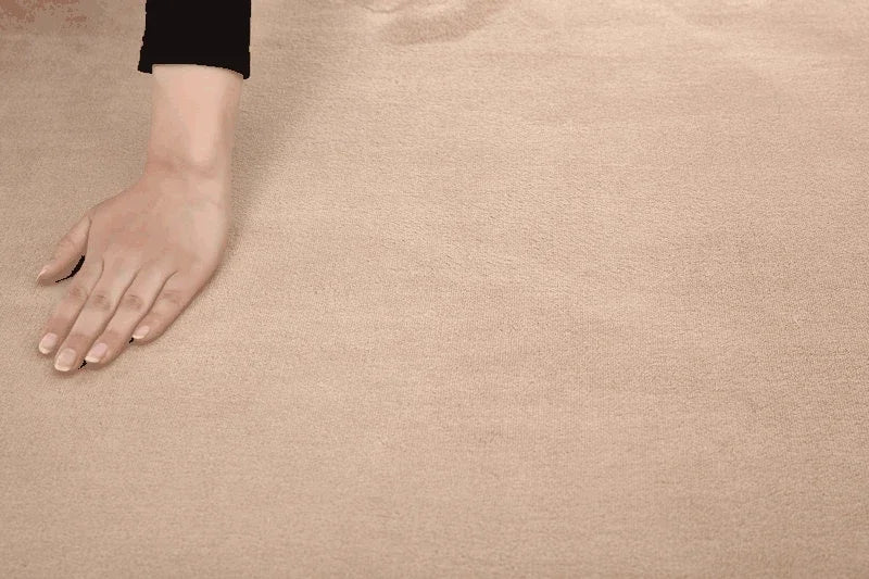 Fleece Rug; Carpet Home Decor