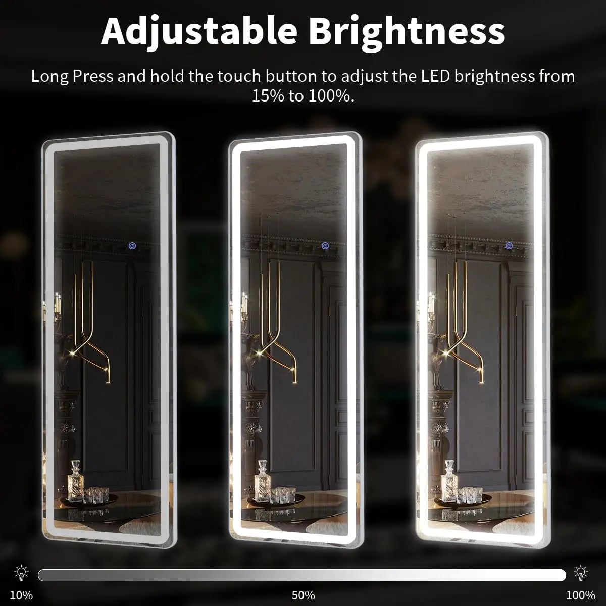 63"x20" Full Length Mirror with Lights