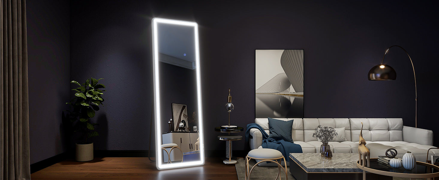 63"x20" Full Length Mirror with Lights